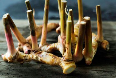 Galangal