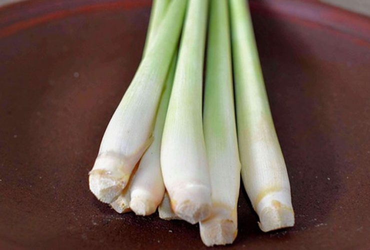 Lemongrass