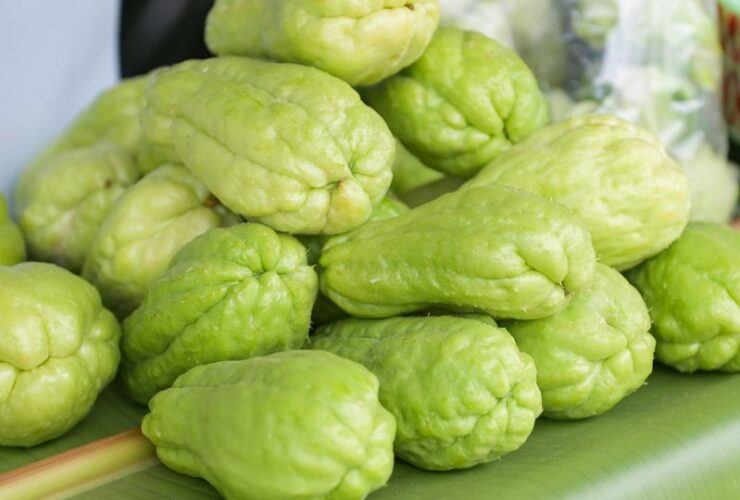 Chayote